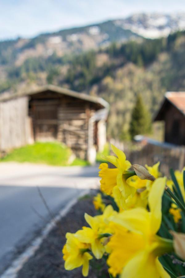Casa Pasch - Boutique Bed And Breakfast In Cumpadials Sumvitg Bagian luar foto